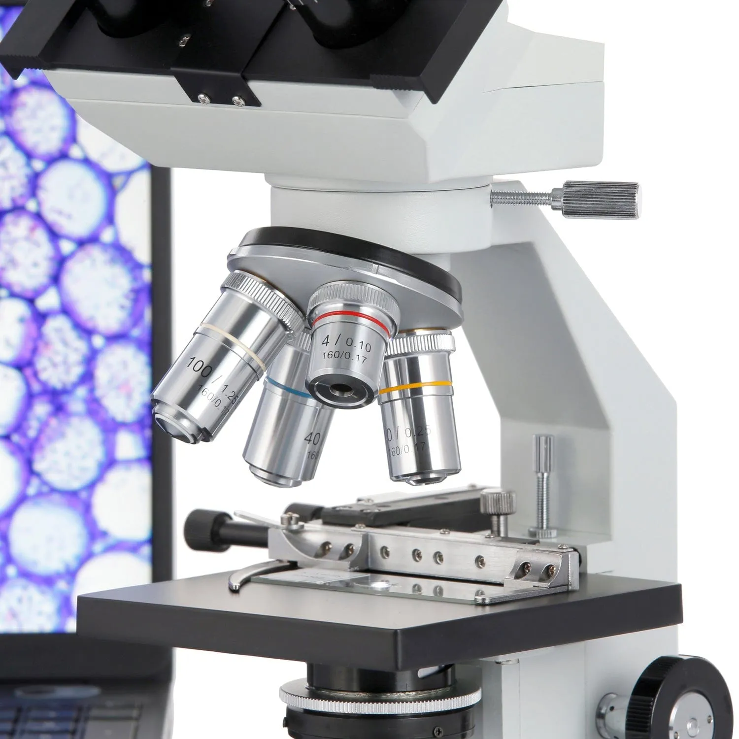AmScope B100 Series Biological Binocular Compound Microscope 40X-1000X Magnification with 20W Halogen and Mechanical Stage