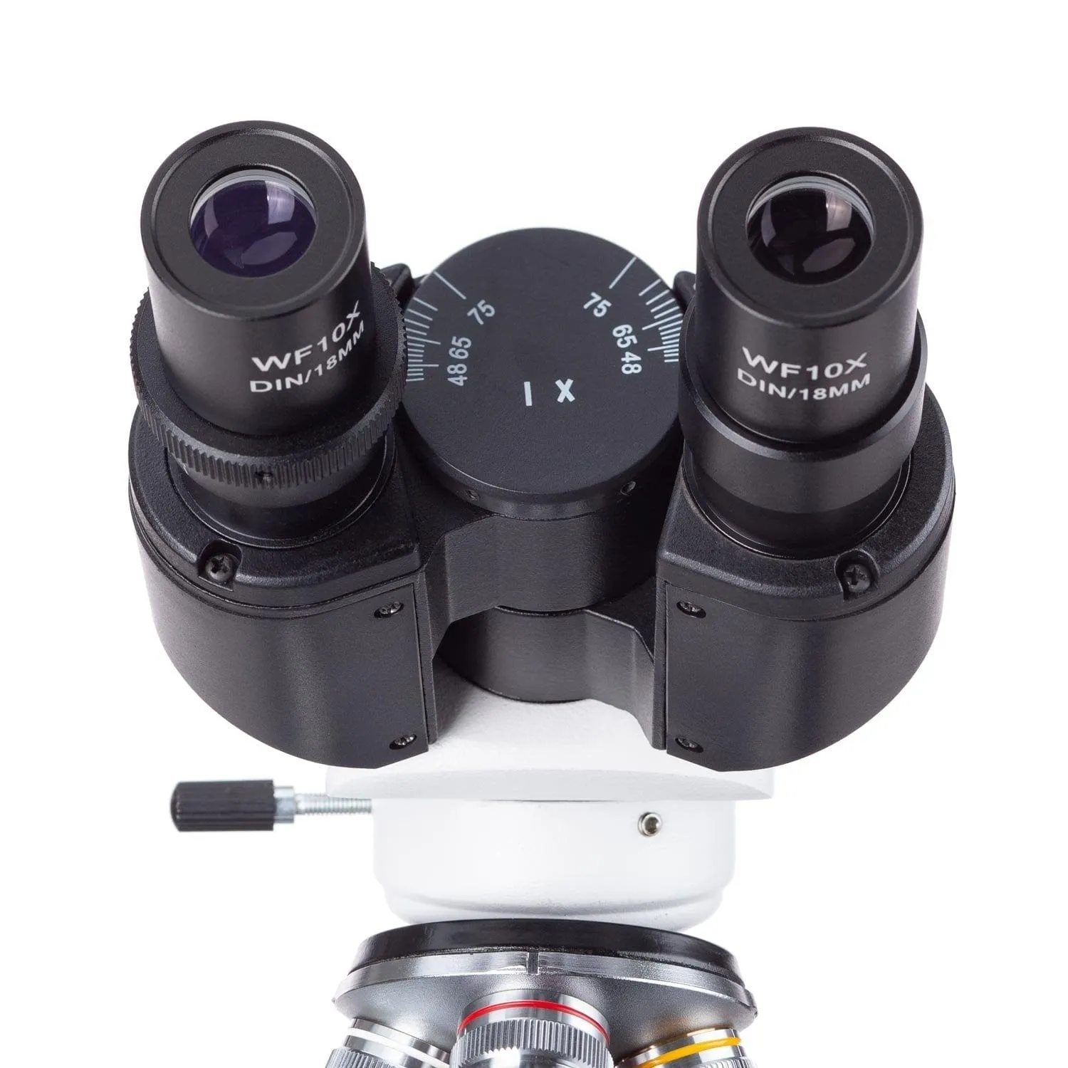 AmScope B120 Series Binocular Compound Microscope 40X-2000X Magnification with LED, Siedentopf Head and 50 Blank Slides