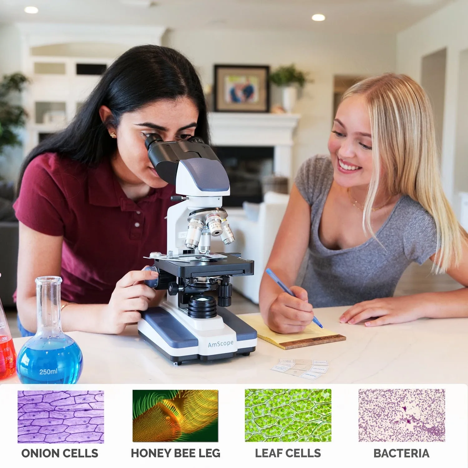 AmScope B120 Series Binocular Compound Microscope 40X-2000X Magnification with LED, Siedentopf Head and 50 Blank Slides