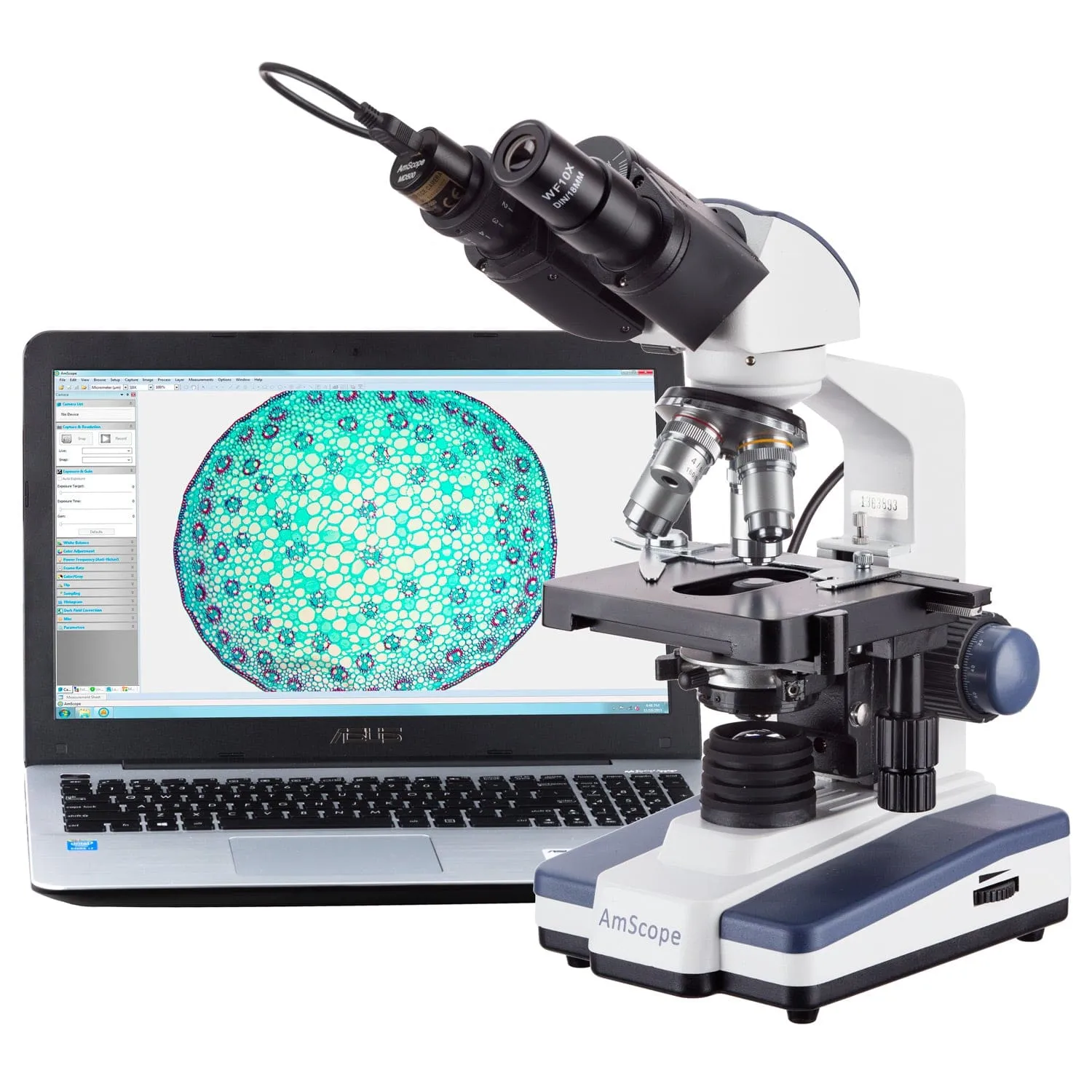 AmScope B120 Series Binocular Compound Microscope 40X-2000X Magnification with LED, Siedentopf Head and 50 Blank Slides