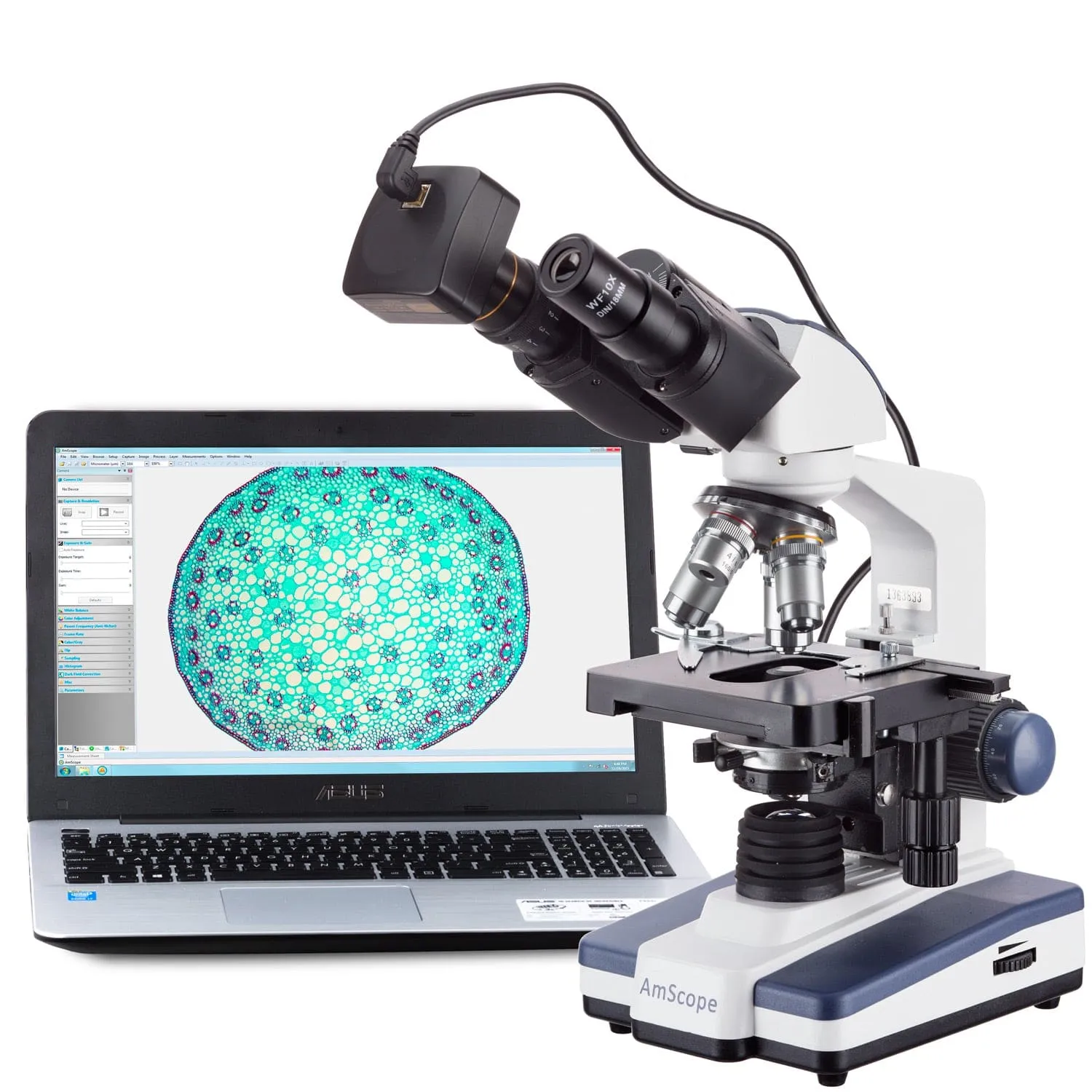 AmScope B120 Series Binocular Compound Microscope 40X-2000X Magnification with LED, Siedentopf Head and 50 Blank Slides