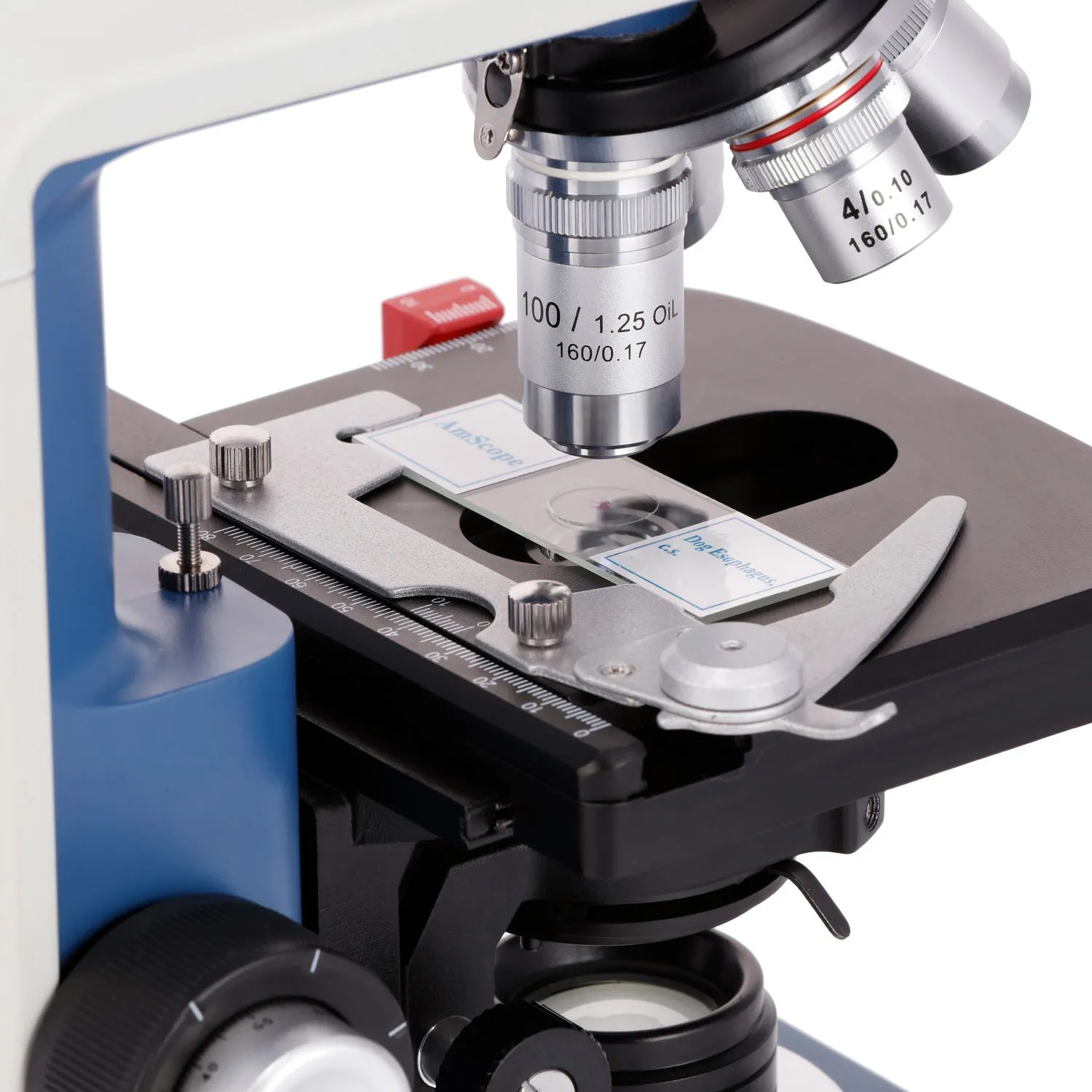 AmScope B120C-R Series USB-C Rechargeable Student Binocular Compound Microscope 40X-2500X Magnification with 3D Two-Layer Mechanical Stage, Achromatic Objectives, & LED illuminator   Optional Camera