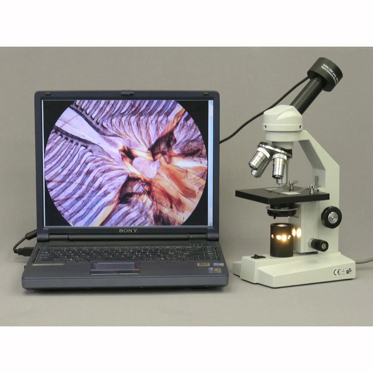 AmScope M500 Series Advanced Home School Monocular Compound Microscope 40X-1000X Magnification with Mechanical Stage & 1.3MP Camera