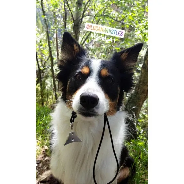 Logan A1 Sheep Dog Whistle - Lightweight